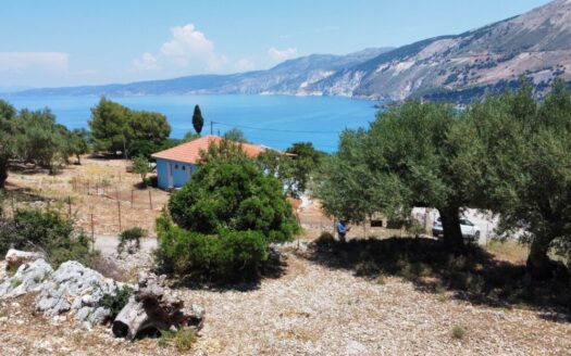 Lotto Vista Mare – Zola – Esclusiva Petersons