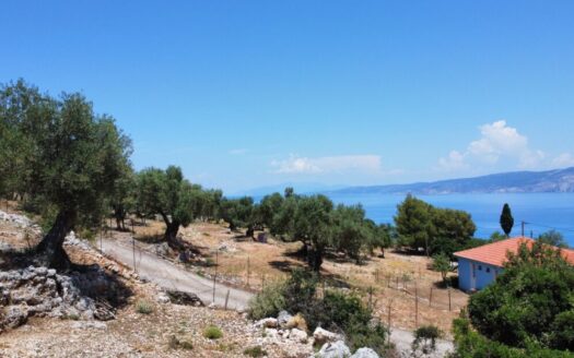 Lotto Vista Mare – Zola – Esclusiva Petersons